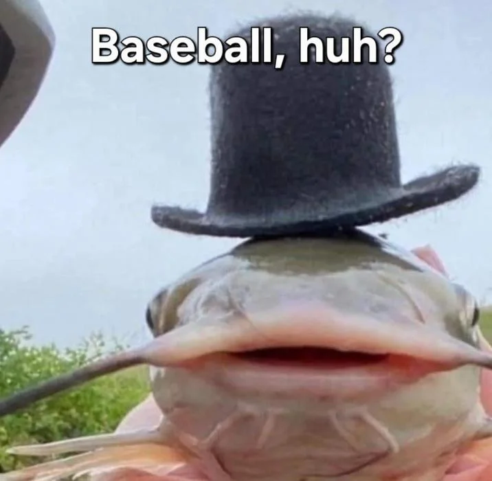 Baseball Huh — Reaction meme with fish in cowboy hat and 'Baseball, huh?' text overlay.