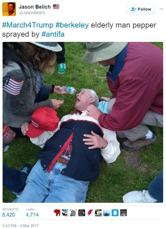 Based Stickman — Twitter screenshot of elderly man in MAGA hat lying on grass being helped after being pepper sprayed at Berkeley rally