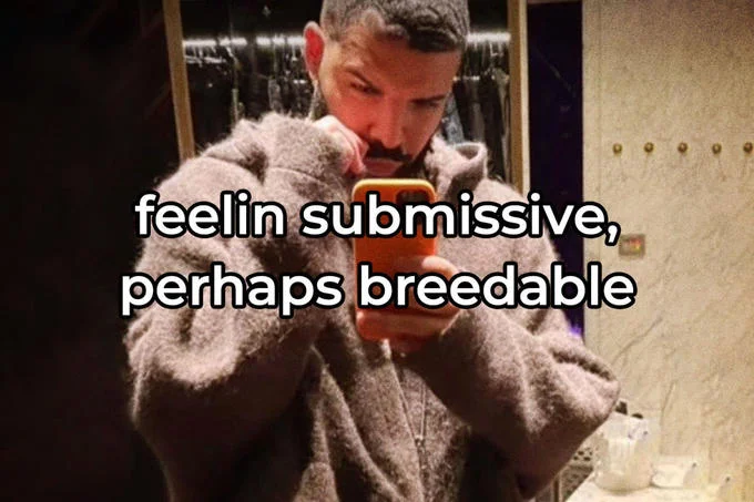 Bbl Drake — Person in fuzzy sweater with overlay text 'feelin submissive, perhaps breedable'.