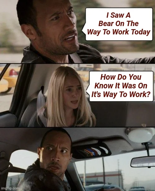 Bear meme