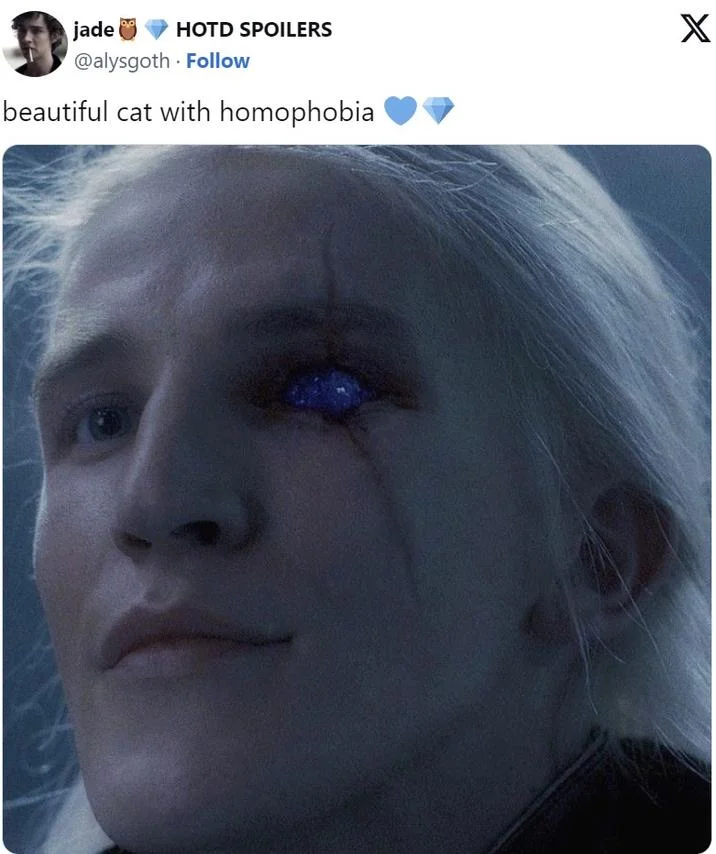 Twitter screenshot of Aemond Targaryen with blue sapphire eye, captioned 'beautiful cat with homophobia'.