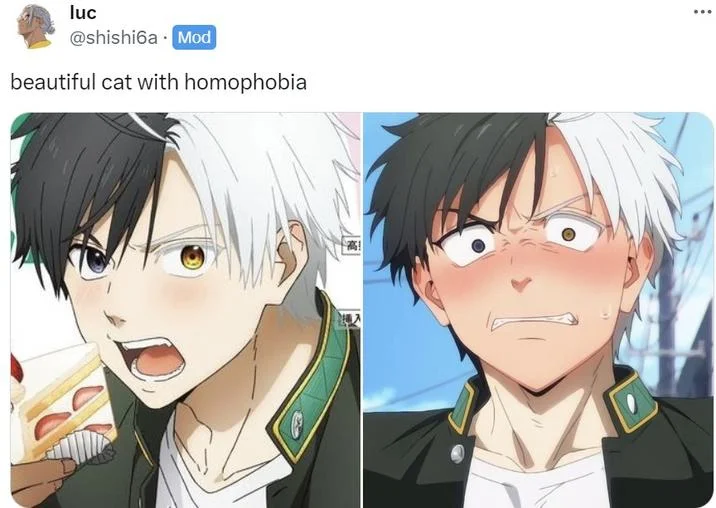 Tweet with anime screenshots of a heterochromatic character captioned 'beautiful cat with homophobia'.