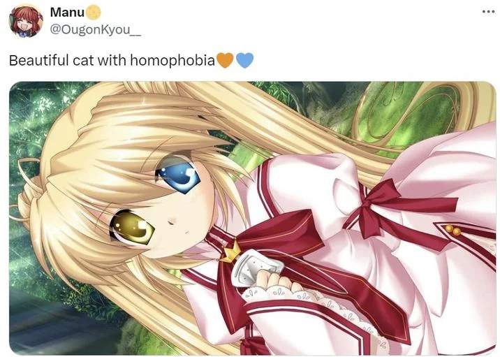 Tweet with anime illustration of blonde girl with heterochromatic blue and yellow eyes, captioned 'Beautiful cat with homophobia'.