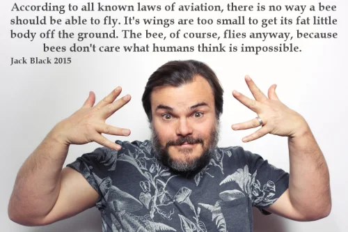 Bee Movie Script According To All Known Laws Of Aviation — Man with raised hands beneath 'According to all known laws of aviation' text.