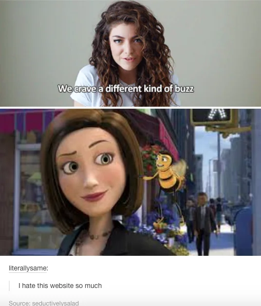 Tumblr meme comparing Lorde lyrics to Vanessa and Barry from Bee Movie