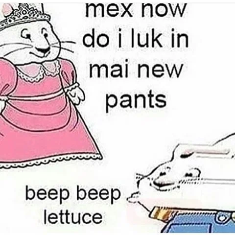 Ruby rabbit in pink dress asks Max how she looks and distorted Max replies 'beep beep lettuce'.