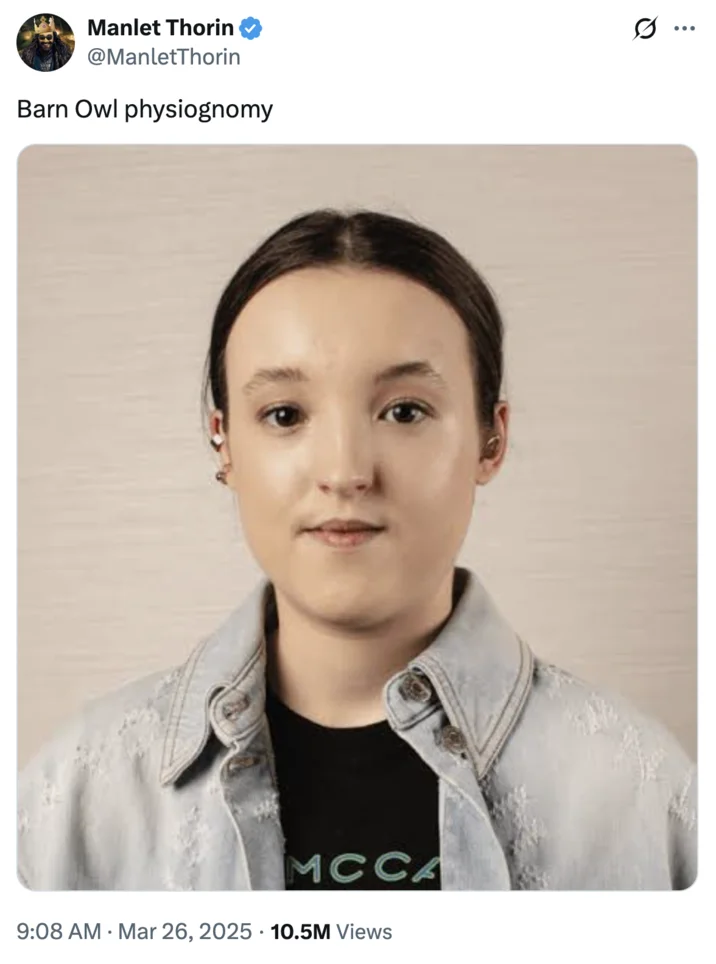 Bella Ramseys Face — Tweet comparing Bella Ramsey's face to a barn owl