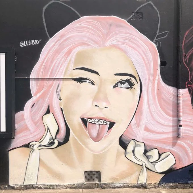Screenshot of a slang dictionary entry defining Belle Delphine