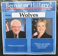 Bernie Sanders Dank Meme Stash — Bernie or Hillary comparison about wolves being badass or safe.