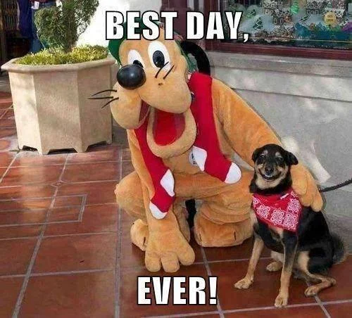 Best Day Ever — Smiling dog in red bandana posing beside a Pluto mascot with caption 'Best Day, Ever!'