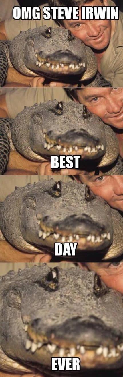 Four-panel meme of Steve Irwin next to a smiling alligator captioned 'OMG Steve Irwin, best day ever'