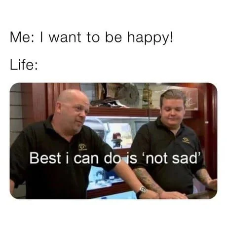 Best I Can Do Is meme about settling for not sad instead of happy