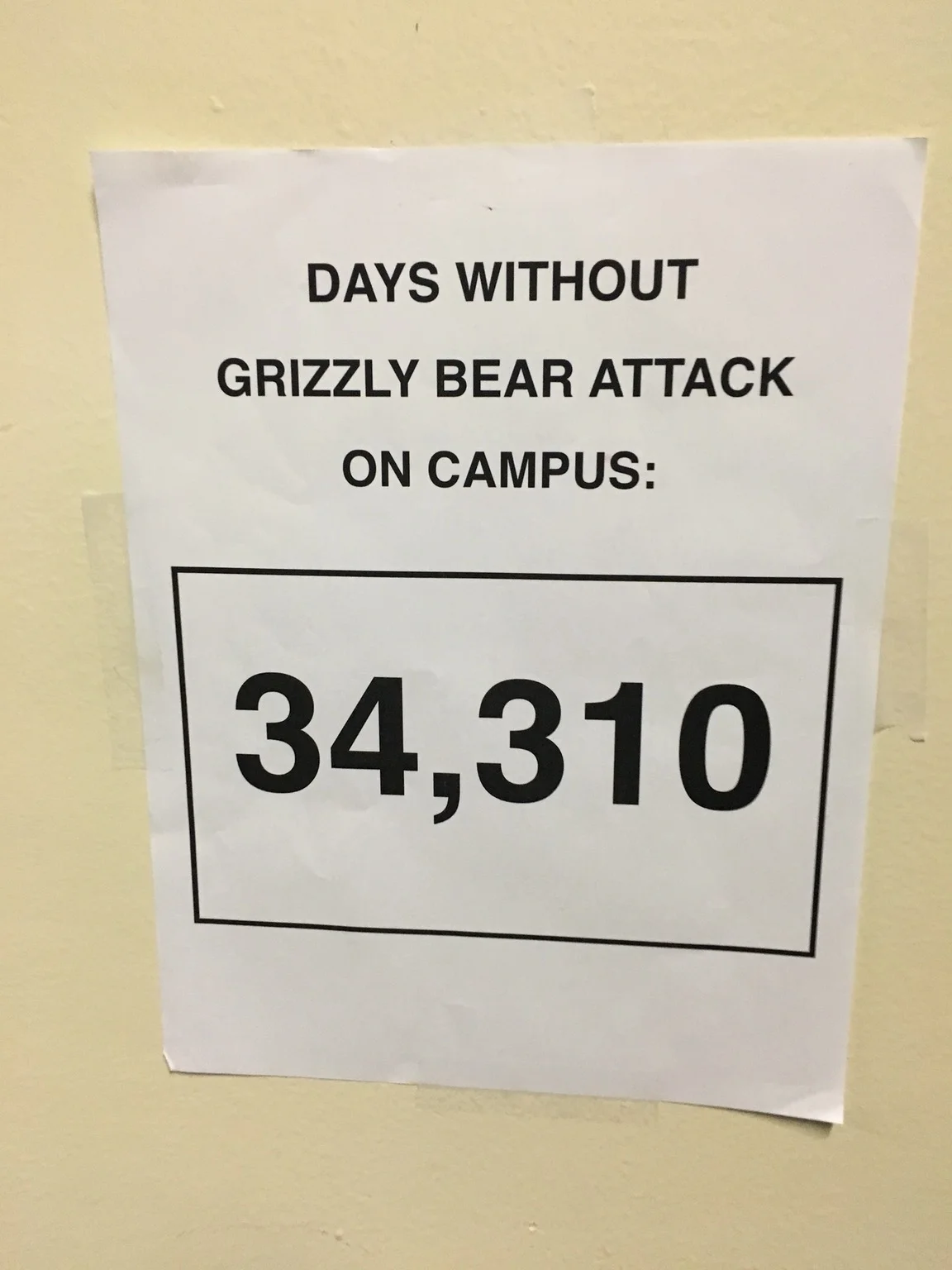 Betsy DeVos' "Grizzly Bear Attacks" Remark — Paper sign on a wall reading Days Without Grizzly Bear Attack On Campus: 34,310