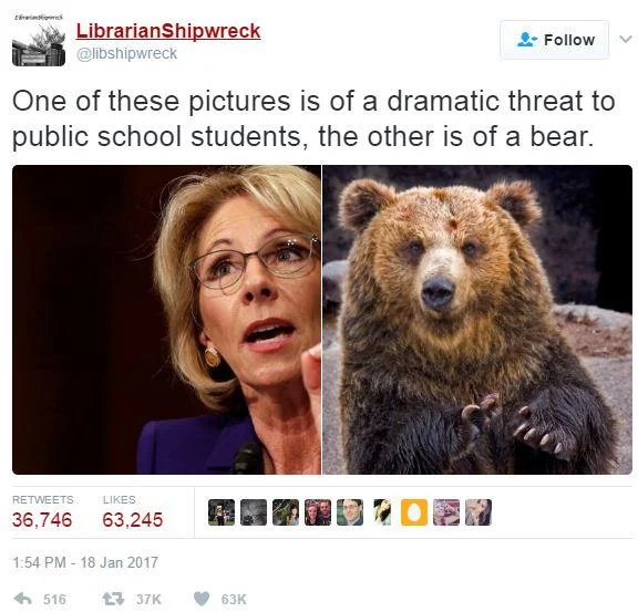 Betsy DeVos' "Grizzly Bear Attacks" Remark — Tweet comparing side-by-side images of Betsy DeVos and a brown bear