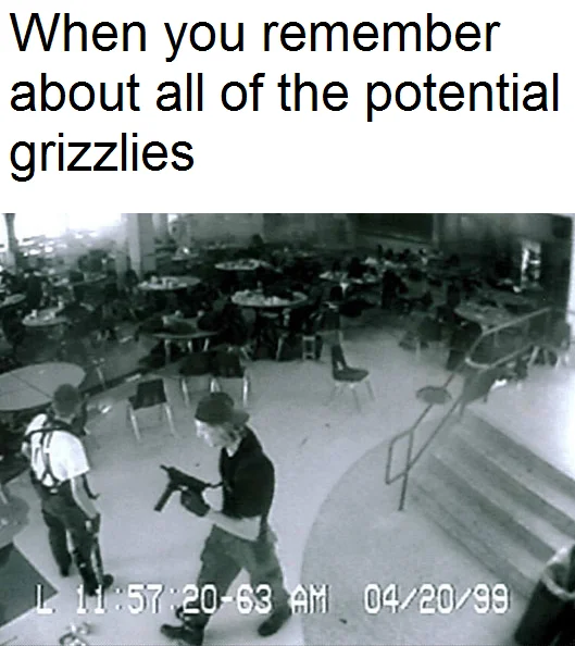 Betsy DeVos' "Grizzly Bear Attacks" Remark — Meme pairing Columbine surveillance footage with a joke about potential grizzlies