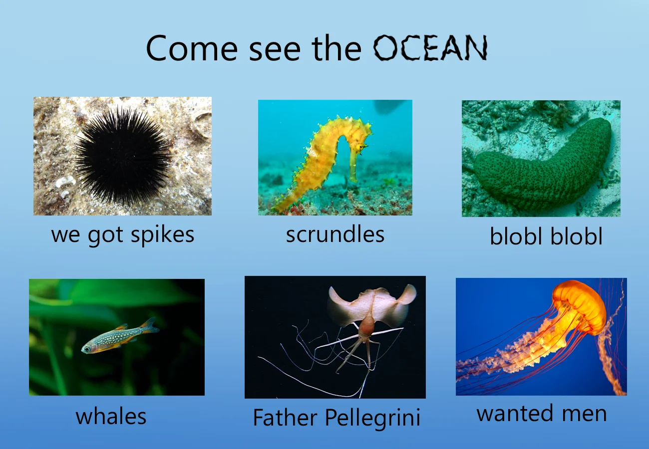 Better Names For Things
