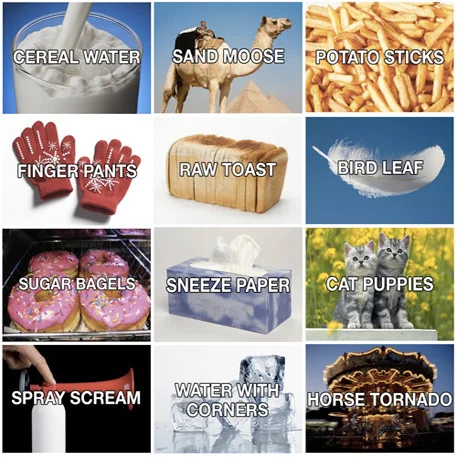 Better Names For Things — Grid of twelve images with silly renamed objects like Cereal Water for milk and Sand Moose for a camel