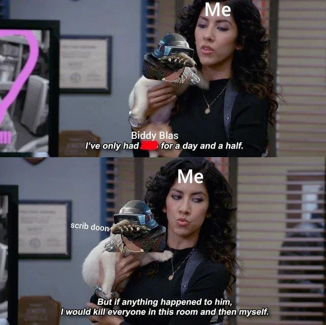 Brooklyn Nine-Nine Rosa Diaz puppy meme edited with Biddy Blas character and scrib doon dialog.