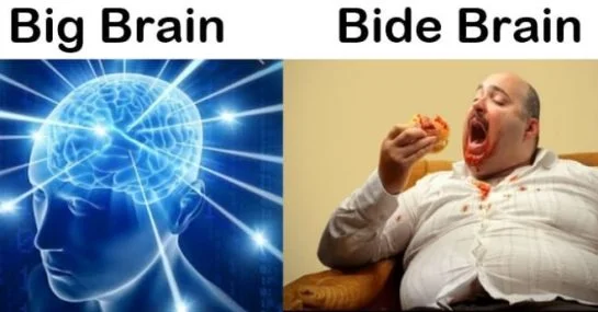 Big Brain Energy — Big Brain vs Bide Brain comparison meme with glowing brain symbolizing intelligence and wisdom.