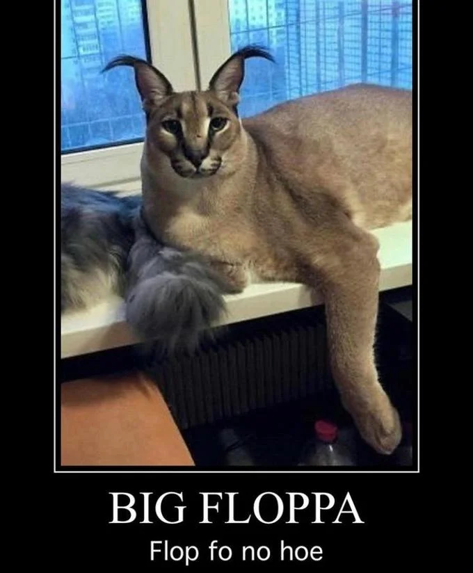 Big Floppa caracal meme image