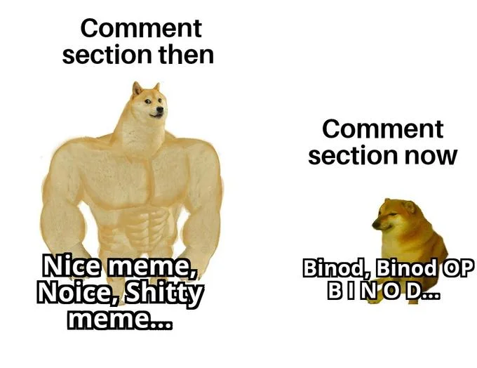 Urban Dictionary style top definition entry explaining the origin of Binod meme