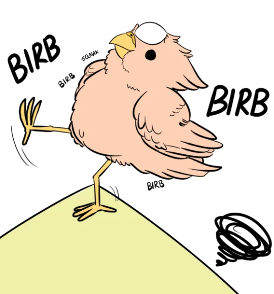 Birbs — Cartoon of a chubby pink bird on a hill with the word BIRB written around it