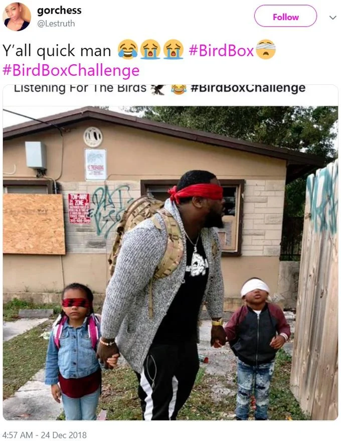 Reaction tweet quoting the viral Listening For The Birds Bird Box Challenge post