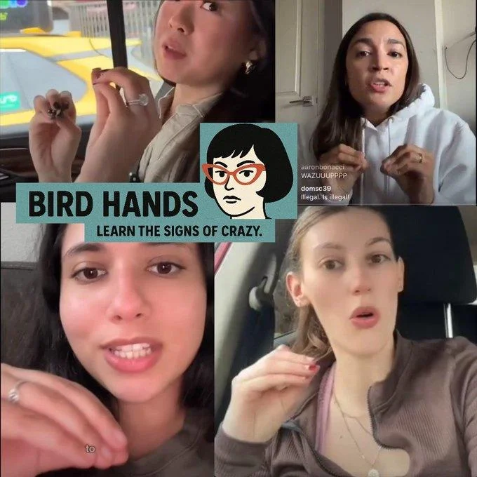 Four-panel bird hands meme collage with 'Learn the signs of crazy' caption