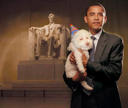 Photoshopped image of Barack Obama holding Birthday Dog in front of the Lincoln Memorial