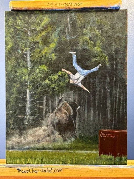 Bison Tossing Man In Yellowstone Video