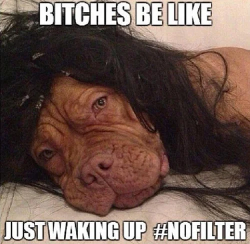 Dog with human-like long hair captioned 'Bitches be like Just Waking Up #NoFilter'
