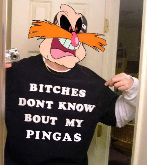 Bitches Don T Know — Dr. Robotnik grinning face over original meme photo, shirt reads 'Bitches Dont Know Bout My Pingas'