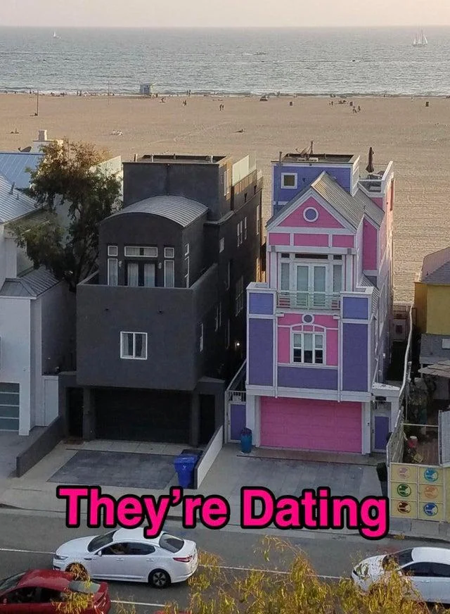 Black and Pink Meme Houses — The pink and black houses with caption 'They're Dating'