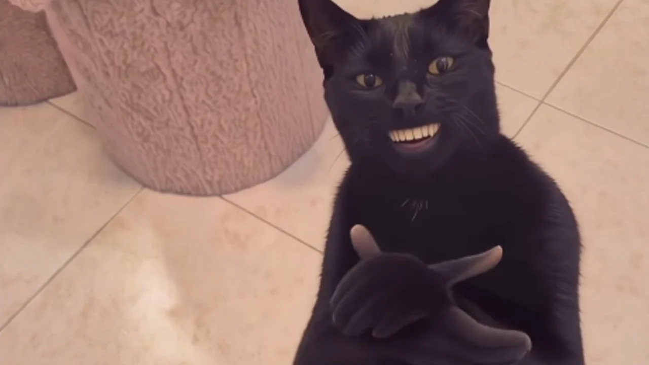 Black Cat Clapping — Black cat with digitally added human mouth and hands appearing to clap and smile