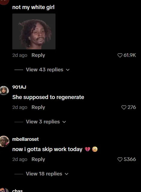 Black Community Reacts to Hayden Panettiere's Death — TikTok comments calling Hayden Panettiere 'our cousin' with Bring It On reference image