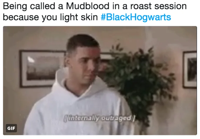 Blackhogwarts — Tweet about being called a Mudblood with 'internally outraged' reaction GIF