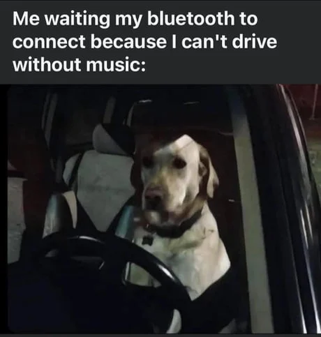 Bluetooth Connection Issue — A sad-looking dog sitting in a car gazing out the window with melancholic expression, captioned 'Me waiting my bluetooth to