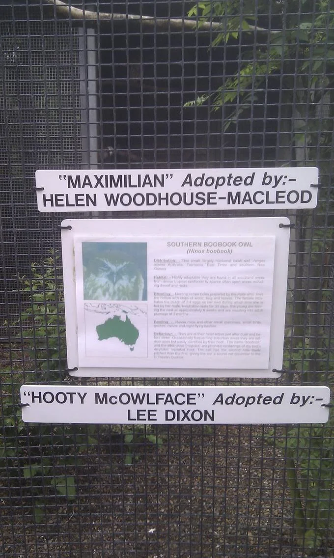 Boaty Mcboatface — Zoo owl enclosure signs reading Maximilian and Hooty McOwlface adoption plaques