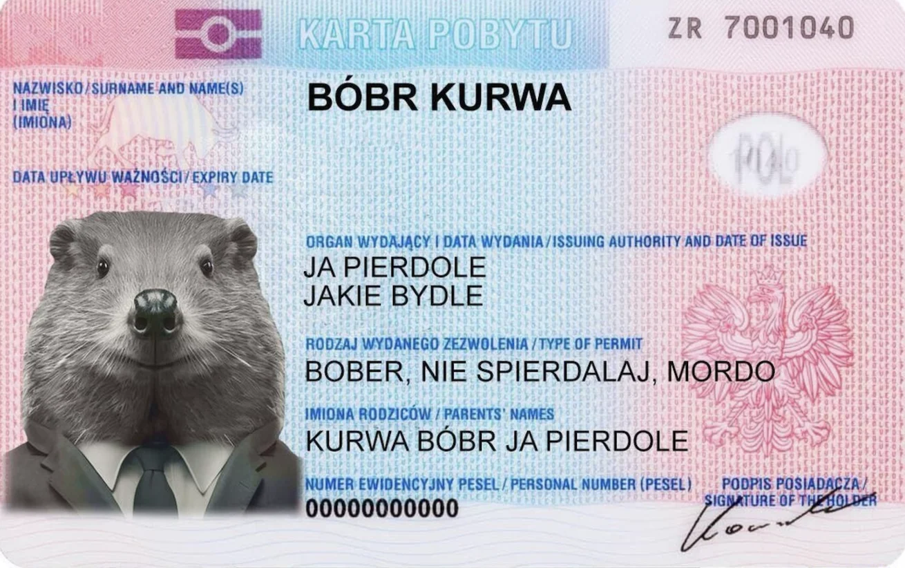 Bober — Fake Polish residence card showing a beaver in a suit named Bobr Kurwa
