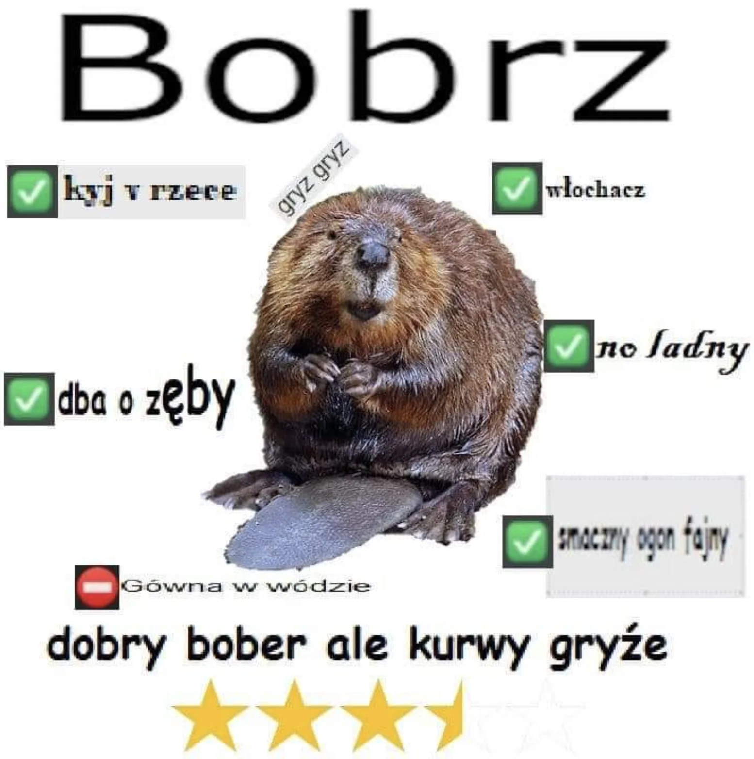 Bober — Beaver product review meme titled Bobrz with checkmarks and 3.5 stars