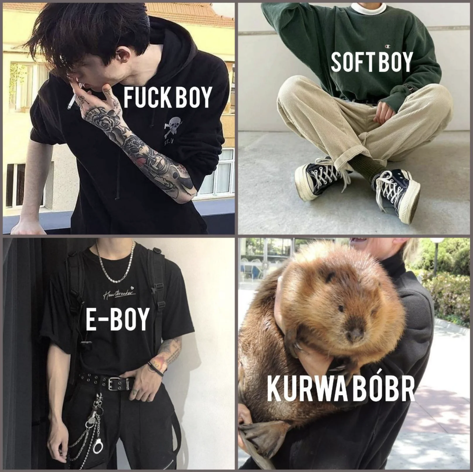 Bober — Four-panel meme comparing Fuck Boy, Soft Boy, E-Boy and Kurwa Bobr with a beaver