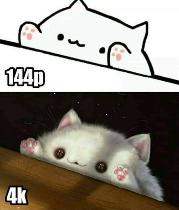 A split comparison meme featuring cartoon Bongo Cat labeled '144p' in the top panel and a real white fluffy cat labeled '4k' in the bottom panel.