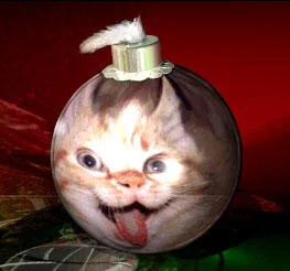 Bonsai Kitten — Cat face deformed inside clear spherical container with suction cup