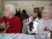 Boozecats — A photograph of elderly individuals holding and posing with cats at a social gathering, with cats featured prominently where drinks might be.