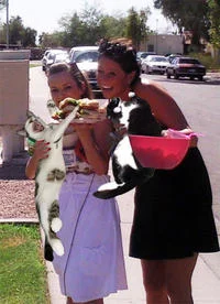 An outdoor photograph of two women holding and displaying cats in prominent positions, following the boozecats formula of replacing drinks with cats.