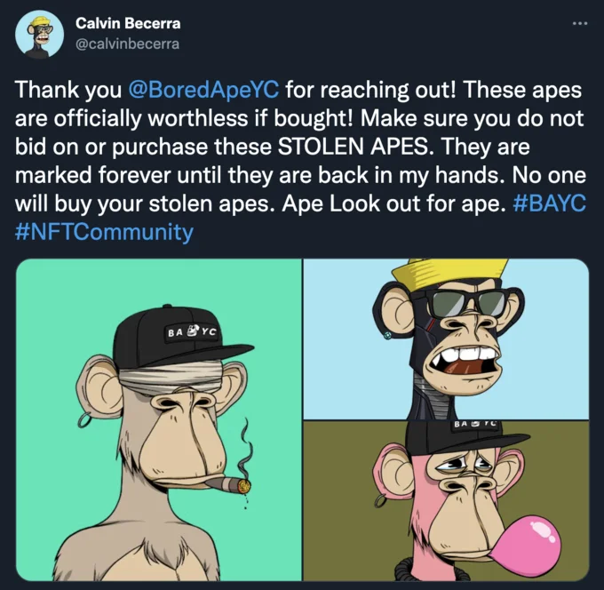Bored Ape Yacht Club — A Twitter meme grid displaying four BAYC apes in colored backgrounds warning community not to purchase stolen NFTs.