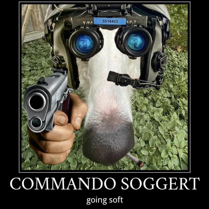 Borzoi Long Nose Dog — Photoshopped Borzoi meme depicting the dog as a commando with night-vision goggles and a pistol