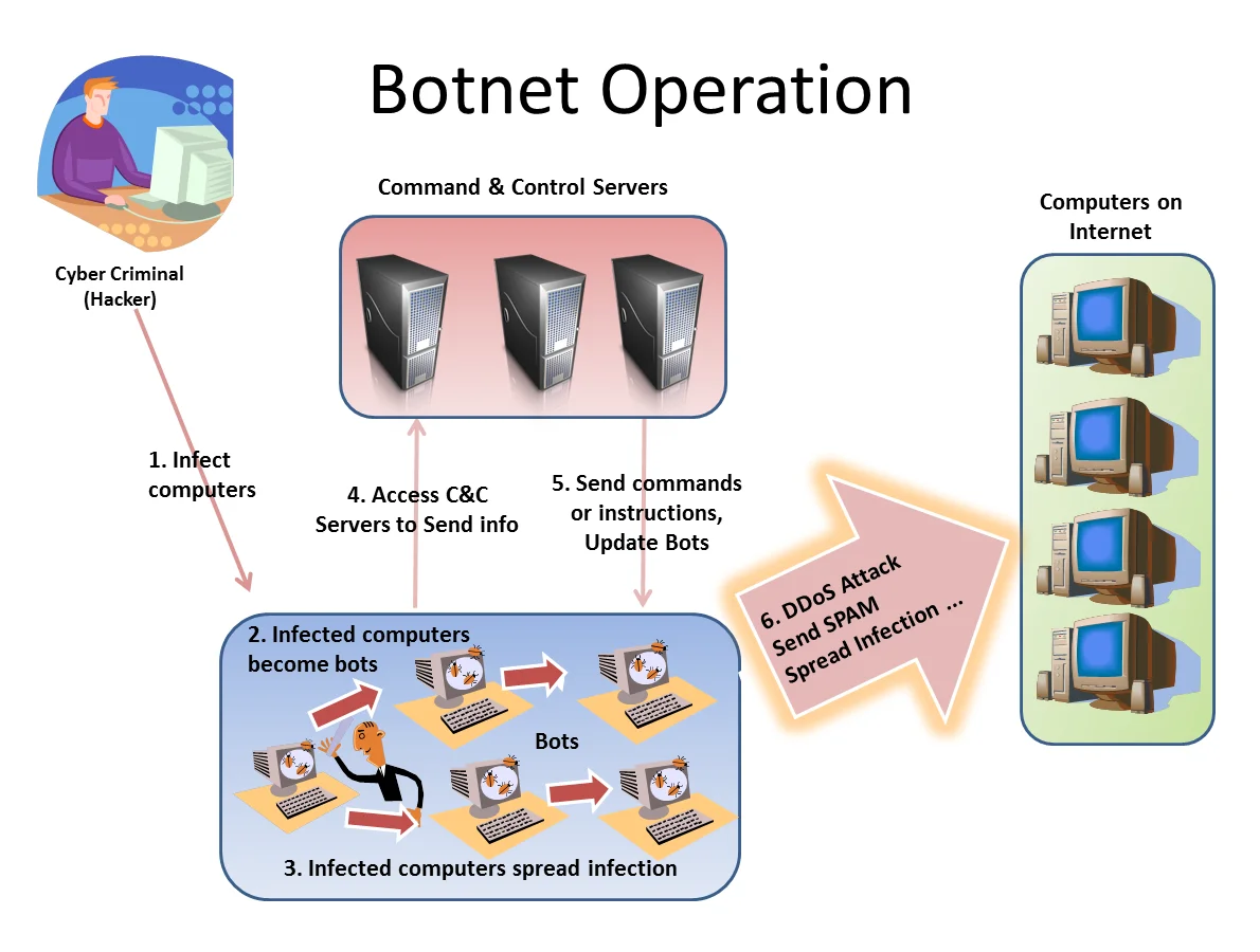 Diagram illustrating how a botnet operation works, from infection to DDoS attack via command and control servers
