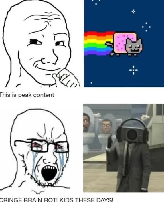 Brain Rot Brainrot — Wojak comparison meme contrasting older internet 'peak content' like Nyan Cat with modern Skibidi Toilet brain rot