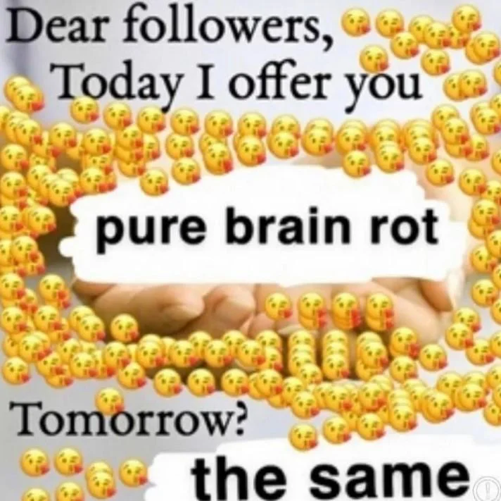 Image featuring yellow crying emoji faces surrounding text 'Dear followers, Today I offer you pure brain rot Tomorrow? the same.'
